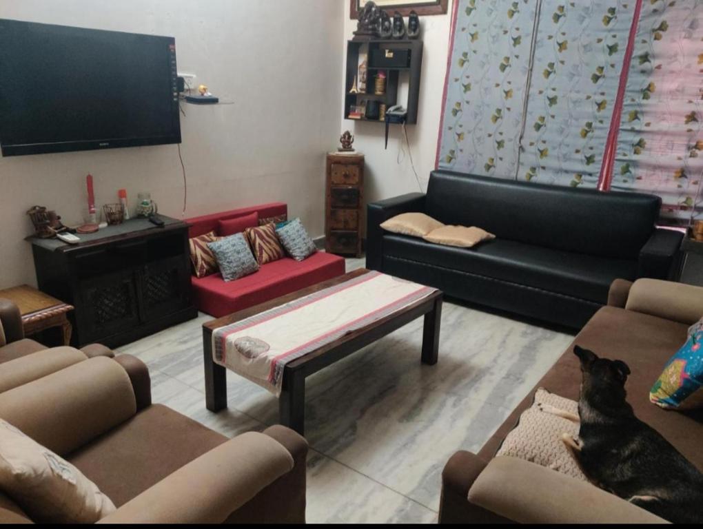 a living room with two couches and a tv at Simbha's Homestay in Jammu