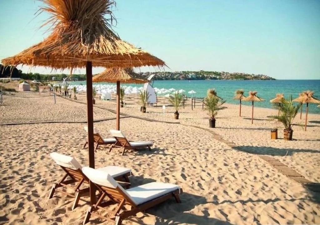 Příroda nedaleko apartmánu