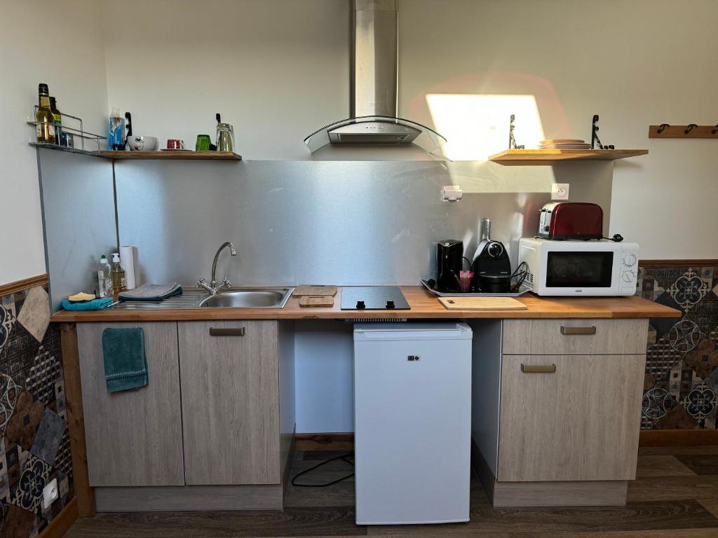 a kitchen with a counter with a microwave and a sink at LAETITIA ET CLAUDE in Lille