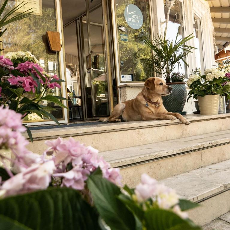 Domácí mazlíčci ubytovaní s hosty v ubytování Hotel Berlin Tegernsee