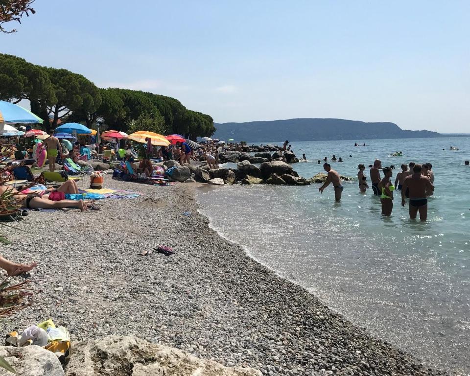Táj az apartman közelében