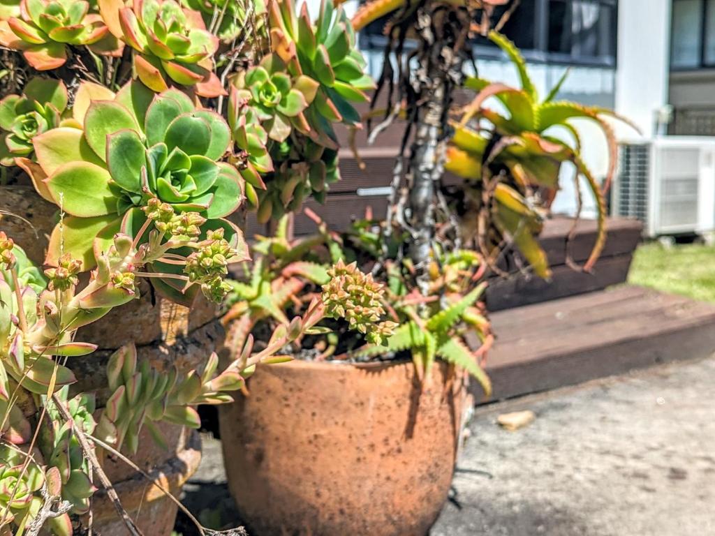 Redwood family home & Ride to Redwood forest - Resim 35