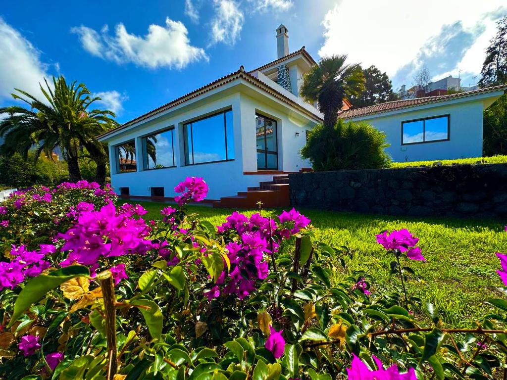 勞羅塔瓦的住宿－Drago Tree Villa Tenerife，前面有粉红色花的房子