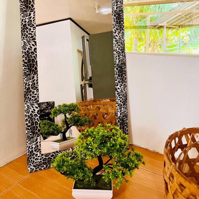 Fotografie z fotogalerie ubytování Palm House v destinaci Puerto Galera