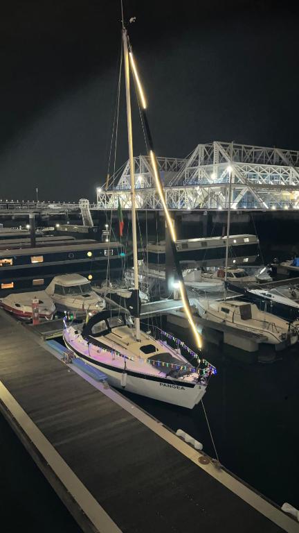 a boat is docked at a dock at night at Waterlife in Lisbon