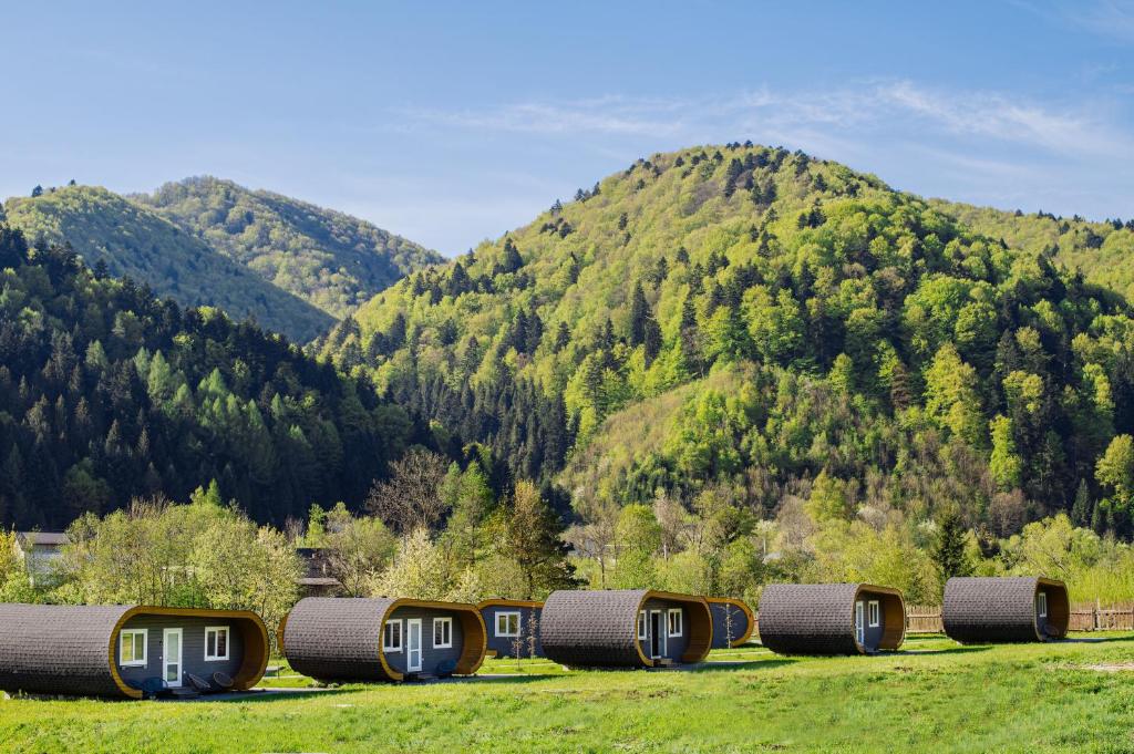 a row of camping huts in a field with a mountain at Rybnychanka in Rybnik