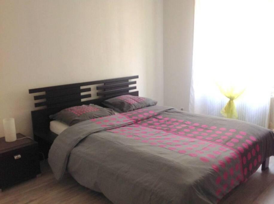 Agréable F3 - RDC (2 chambres) – photo 7