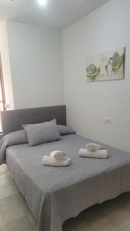 Una cama con dos toallas encima. en Hostal san luis en San Luis de Sabinillas