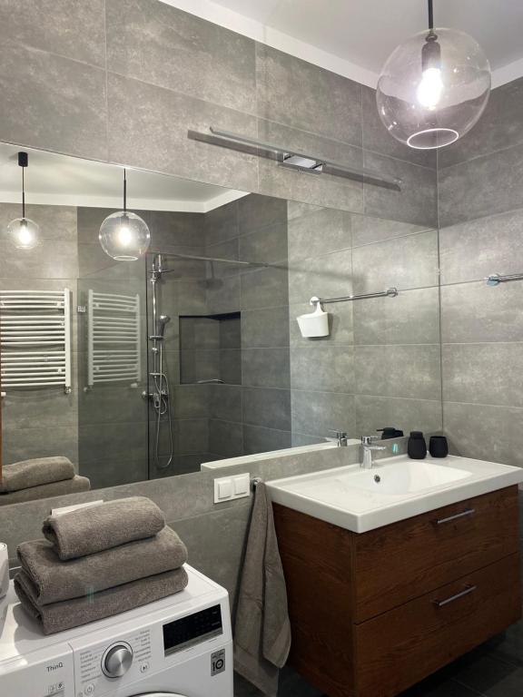 ein Bad mit einem Waschbecken und einer Dusche in der Unterkunft Apartament Flow in Kłodzko