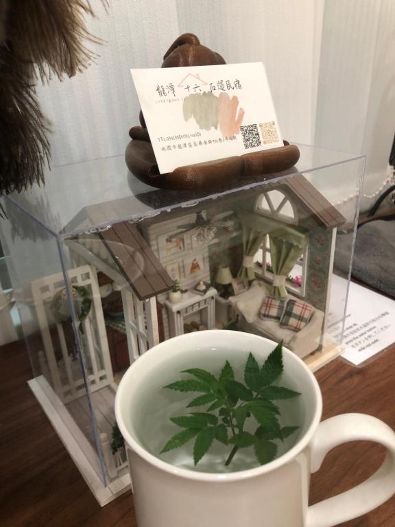 Tetera y cafetera en 龍潭十六石遛民宿 桃園市民宿127號