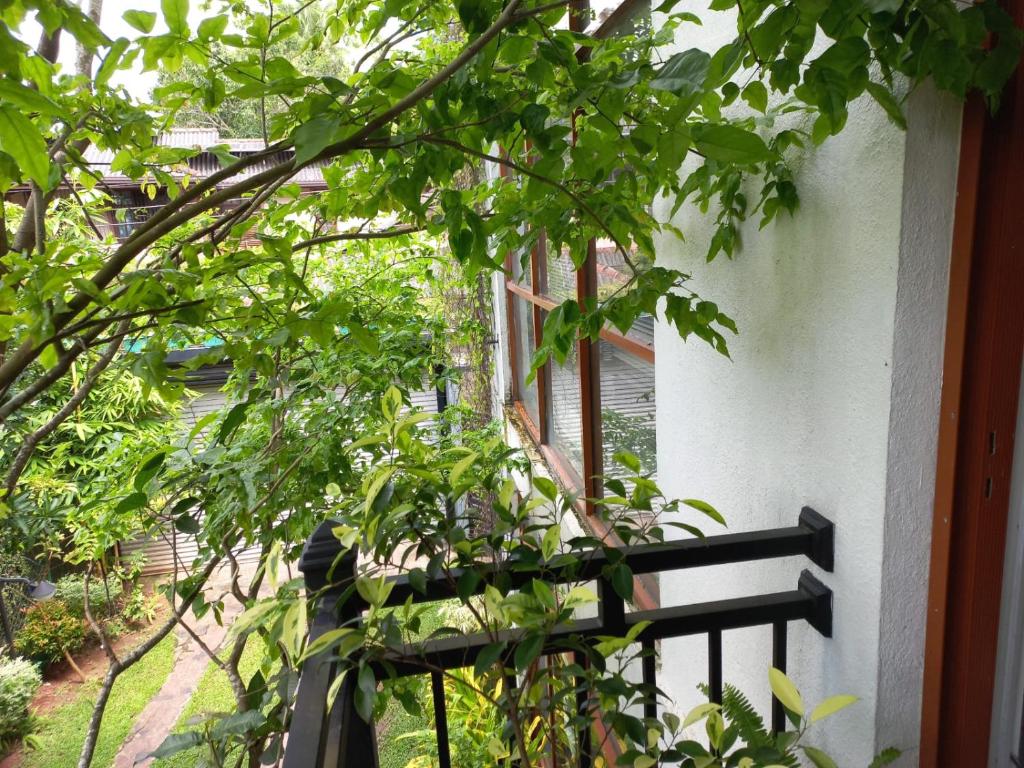 Zahrada ubytování Gampaha Heritage