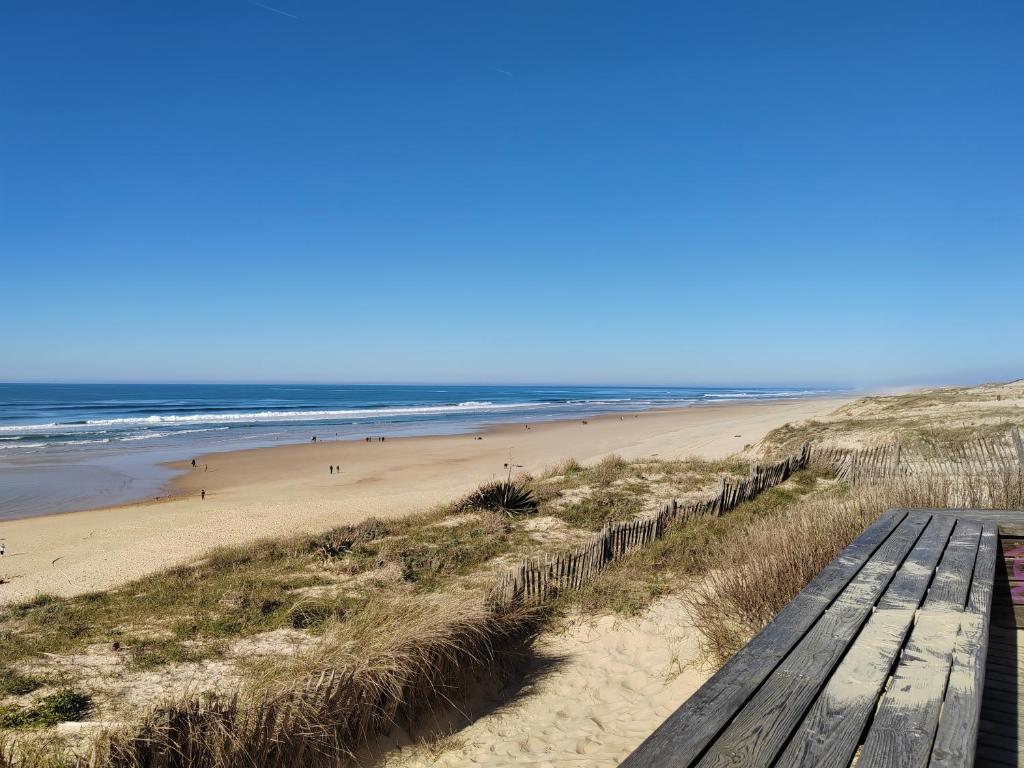 Phong cảnh thiên nhiên gần khu cắm trại