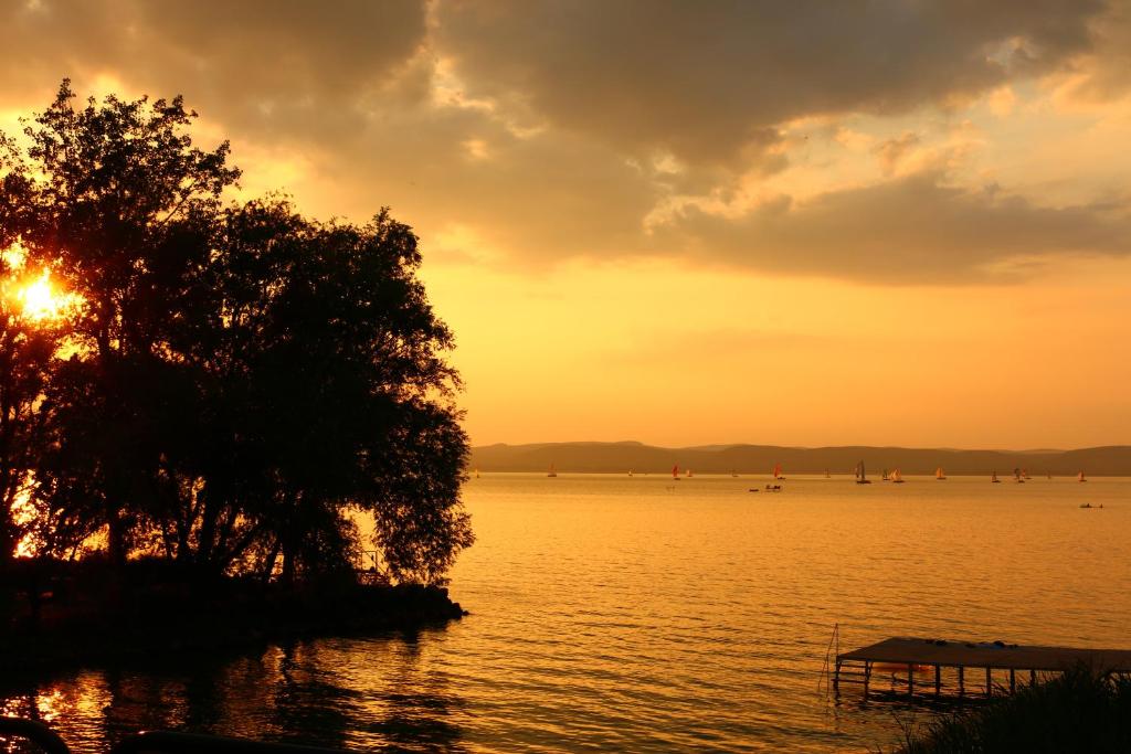 a sunset over a body of water with a tree at Nefelejcs in Zamárdi