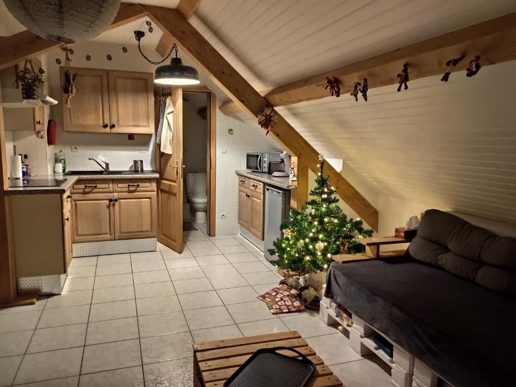 Kuchyň nebo kuchyňský kout v ubytování Appartement douillet avec vue sur les montagnes