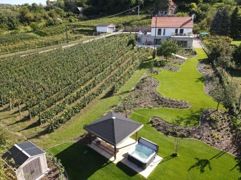uma vista aérea de uma vinha com uma casa em Rábai Katalin Borászat és Vendégház em Neszmély