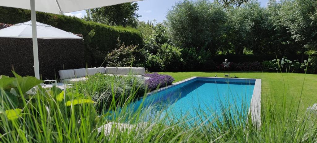 a small swimming pool in a yard with an umbrella at B&B 7T in Bruges