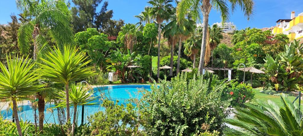 una piscina en un complejo con palmeras en El Olive - Calanova Grand golf en Mijas