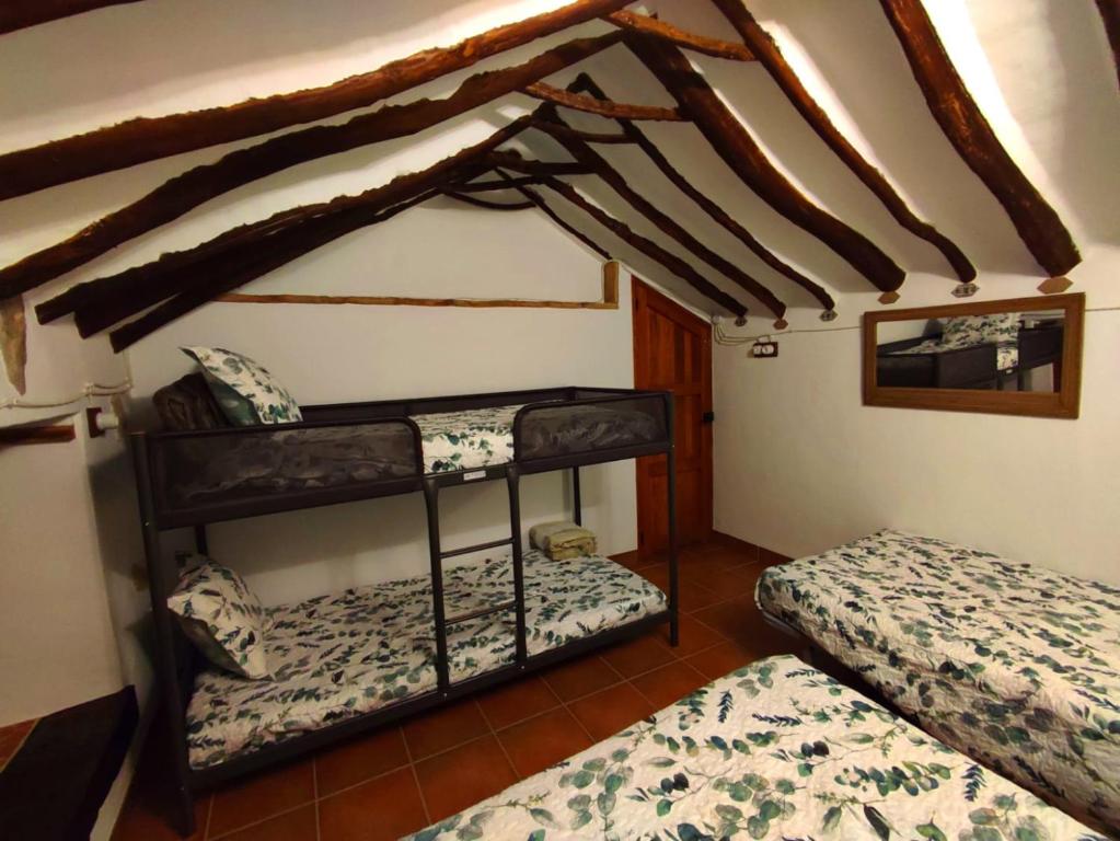 a bedroom with two bunk beds in a room at Los limones in Villanueva de Algaidas