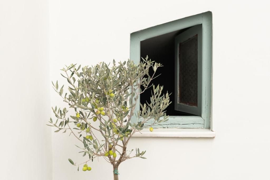 Central5 Boutique Apartments with Common Garden Next to Metro - 16