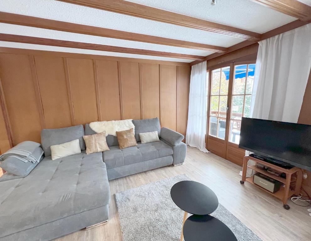 TV a/nebo společenská místnost v ubytování "Petit flocon" Appartement au centre de Verbier
