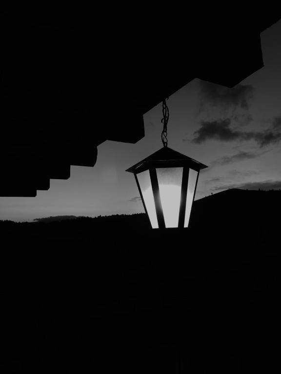 Fotografie z fotogalerie ubytování Villa Filiak v destinaci Jablunycja