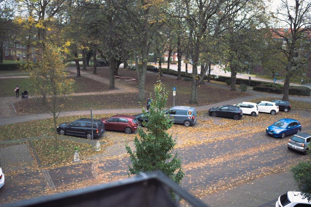 Fotografie z fotogalerie ubytování Stadtwohnung mit Stadtpark Blick v destinaci Emden