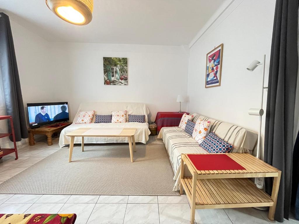 un salon avec un canapé et une télévision dans l'établissement Le Clos Fleuri - 43m2 appartement calme avec jardin - 15 mns du centre de Paris, à Fontenay-sous-Bois