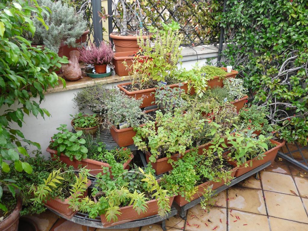 A garden outside Hotel Isa