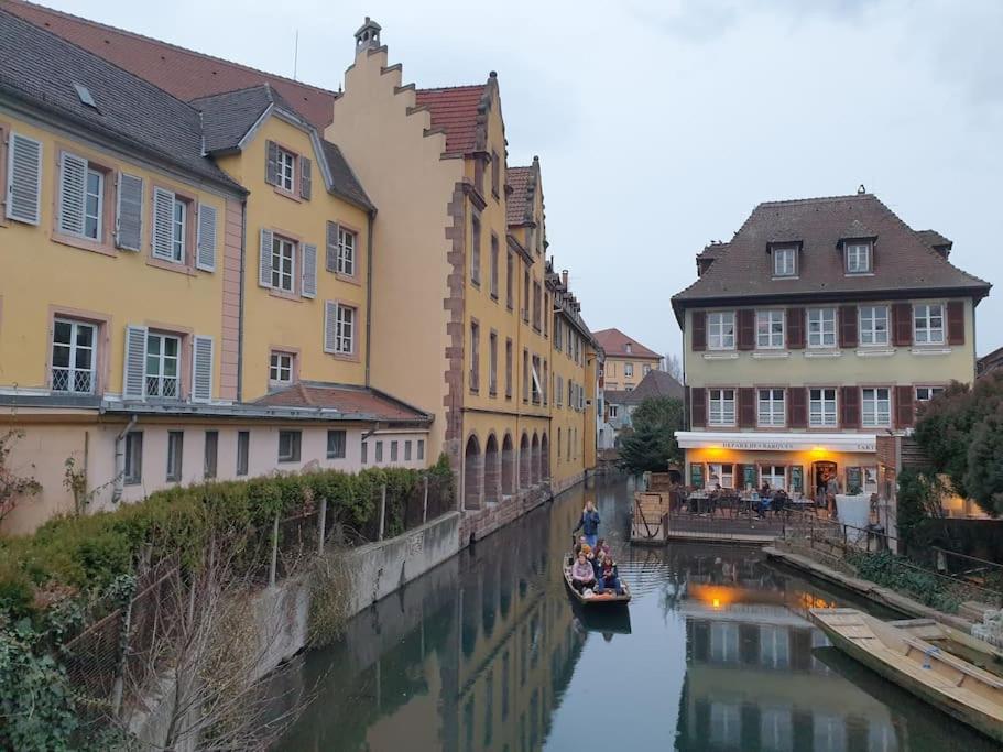 Le Nid des Cigognes à Colmar centre, proche gare, marchés de Noël – photo 6