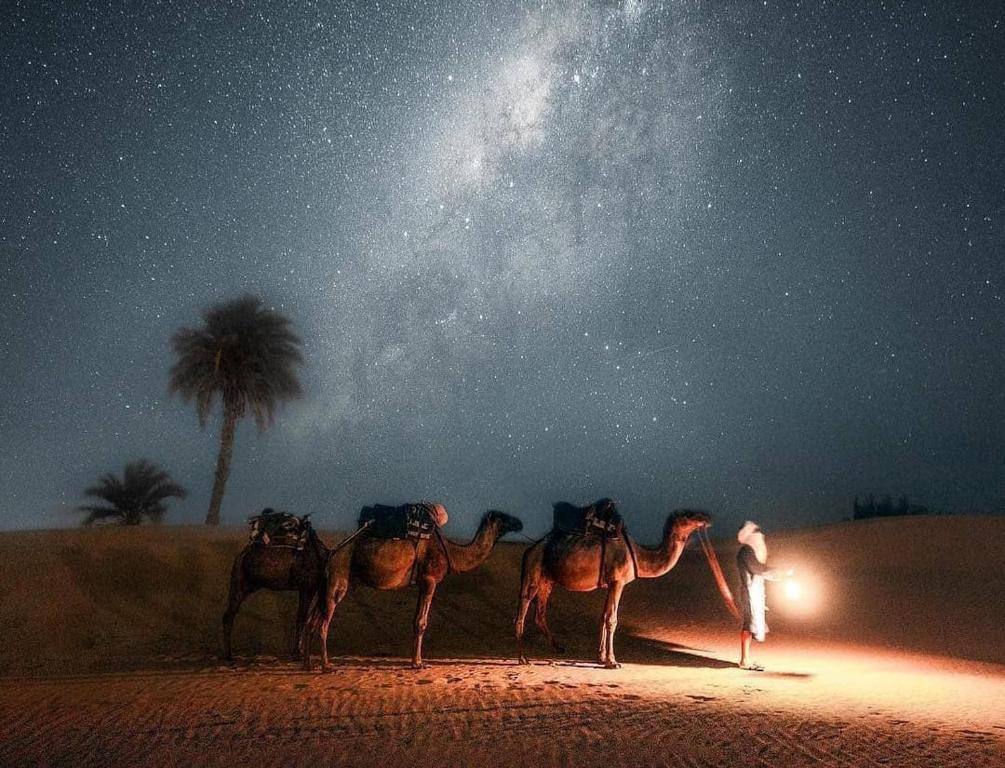 Zvířata v luxury tent nebo okolí