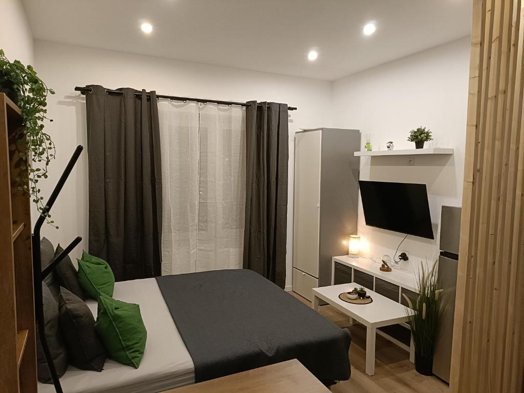 um pequeno quarto com uma cama e uma televisão em studio très agréable em Roubaix