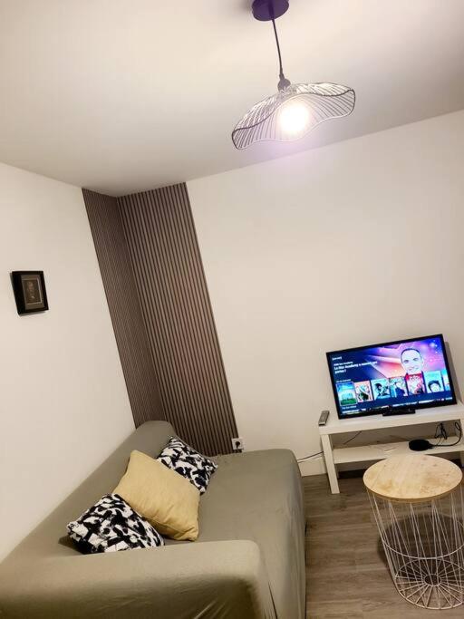 un salon avec un canapé et une télévision à écran plat dans l'établissement T2 cosy et calme avec terrasse, à Tourcoing