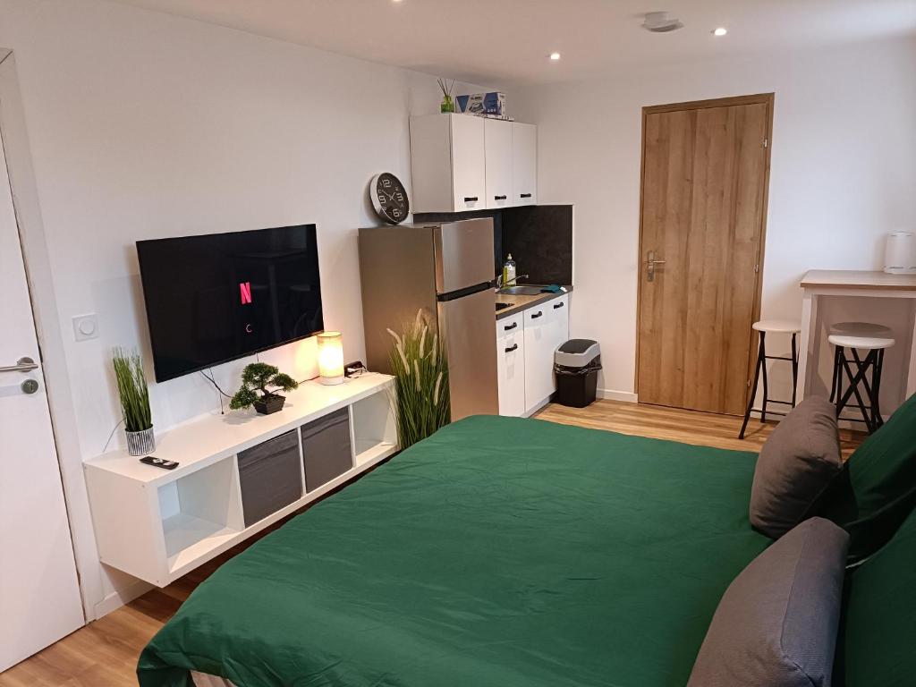 a living room with a large green bed and a television at Studio confortable style in Roubaix
