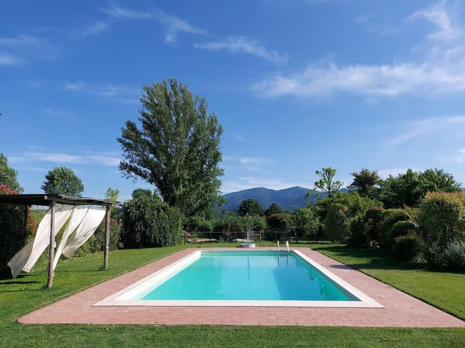 een zwembad in een tuin met een tuinhuisje bij [Piscina Privata] Tiger Home, Toscana in Capannori