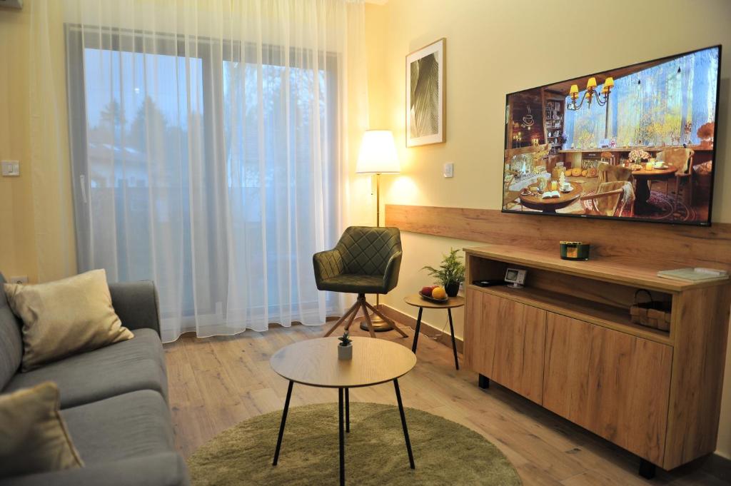 a living room with a couch and a flat screen tv at Studio apartmani Anika in Vrdnik