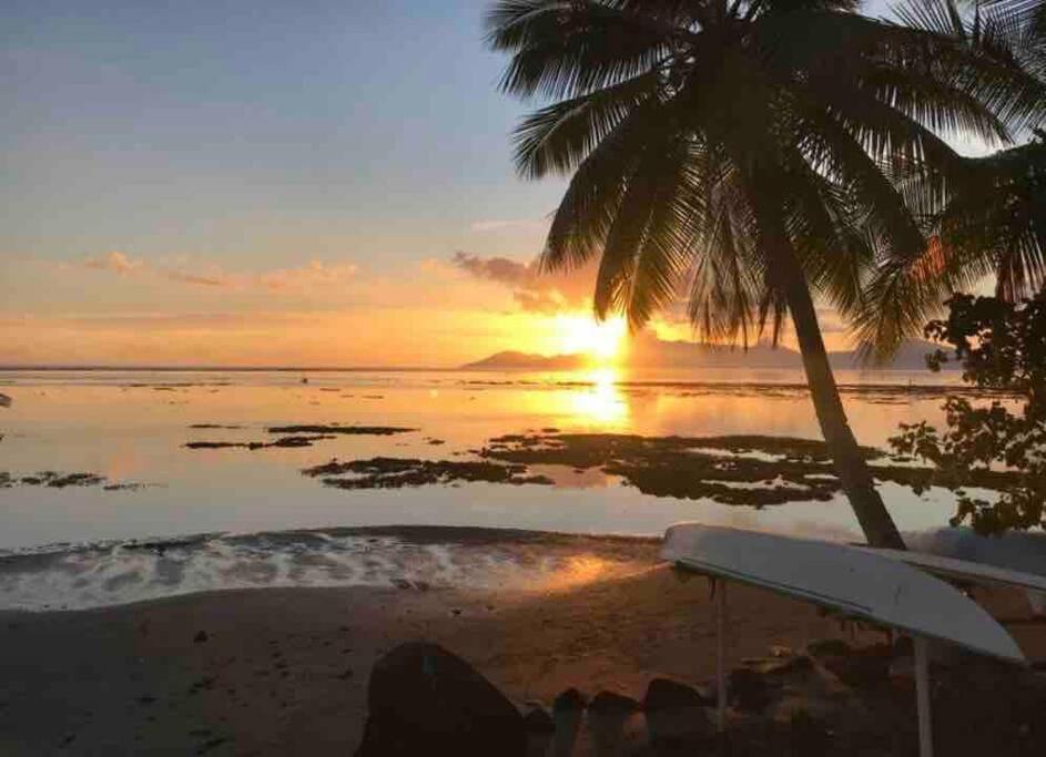 - un coucher de soleil sur la plage avec une planche de surf et un palmier dans l'établissement Tahitian villa avec accès mer à Tahiti, à Punaauia
