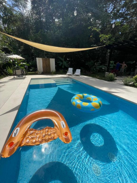 Piscine de l'établissement La Amapola Lodge, Bungalow en Península de Osa. ou située à proximité