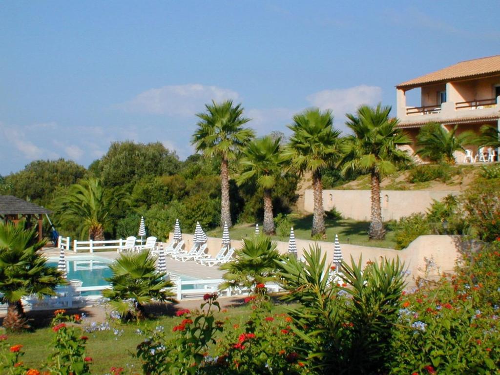 un complejo con piscina y palmeras en Résidence Odalys Stella di l'Aria en Tizzano