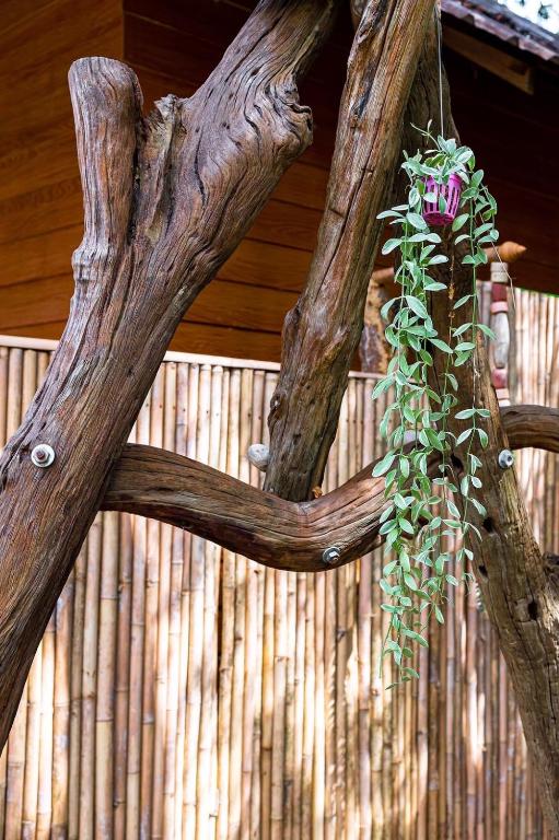 Fotografie z fotogalerie ubytování KLONGNIN NATURE HILL v destinaci Ko Lanta