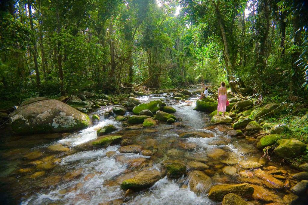 two people standing on rocks in a stream in a forest at Cairns Rainforest Retreats in Bellenden Ker