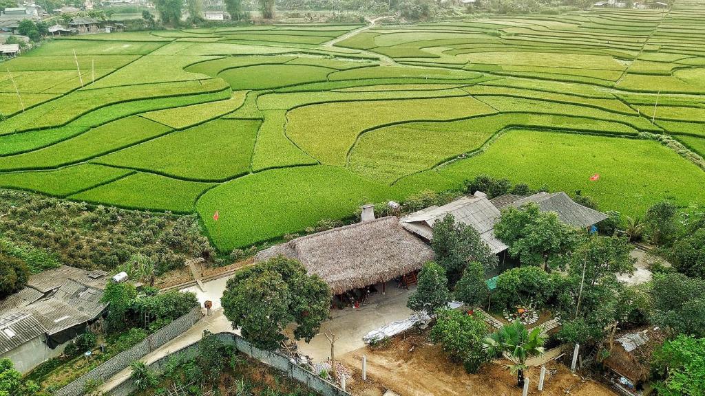 an aerial view of a farm with rice fields and a building at Muonglo Farmstay in Yên Bái