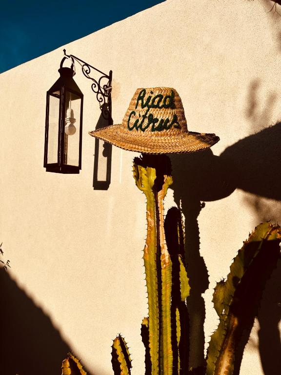 Certifikát, hodnocení, plakát nebo jiný dokument vystavený v ubytování Riad Citrus By La Siredrah