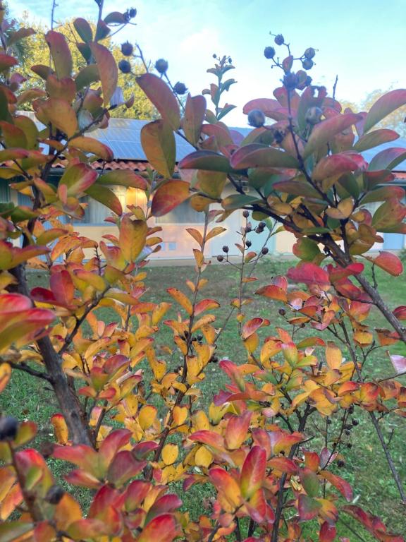 Résidence Thibaud - Resim 12