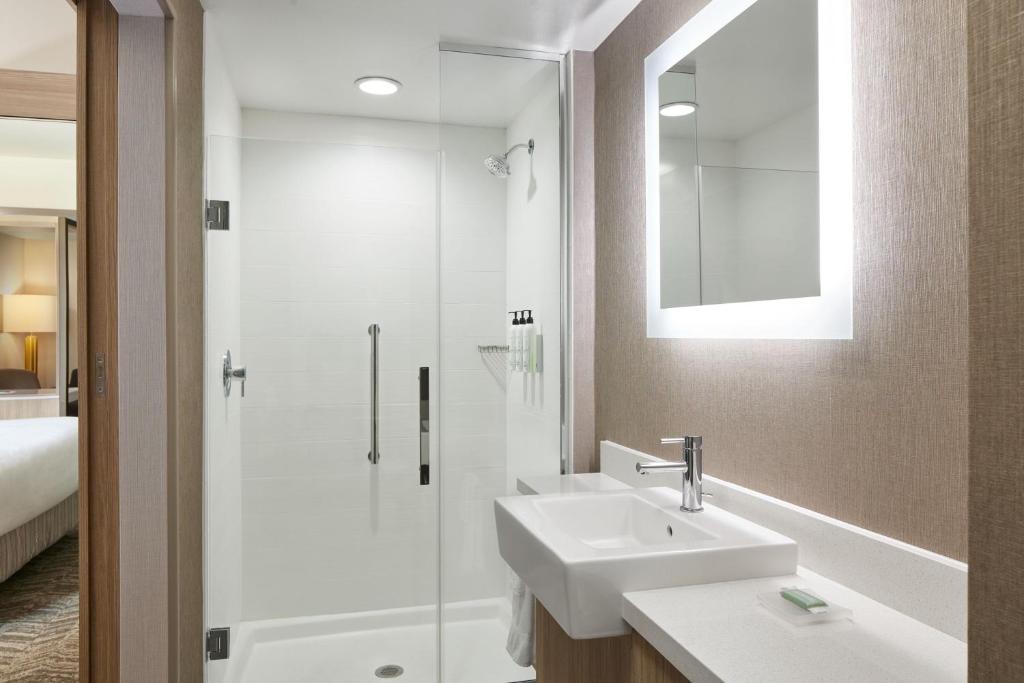 Koupelna v ubytování SpringHill Suites by Marriott Frederica