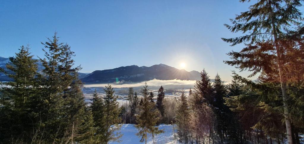 Alpine Meadows Lodge