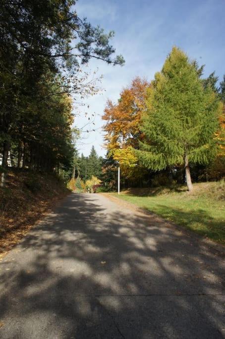 Studio entre forêt et vignoble ! – photo 18