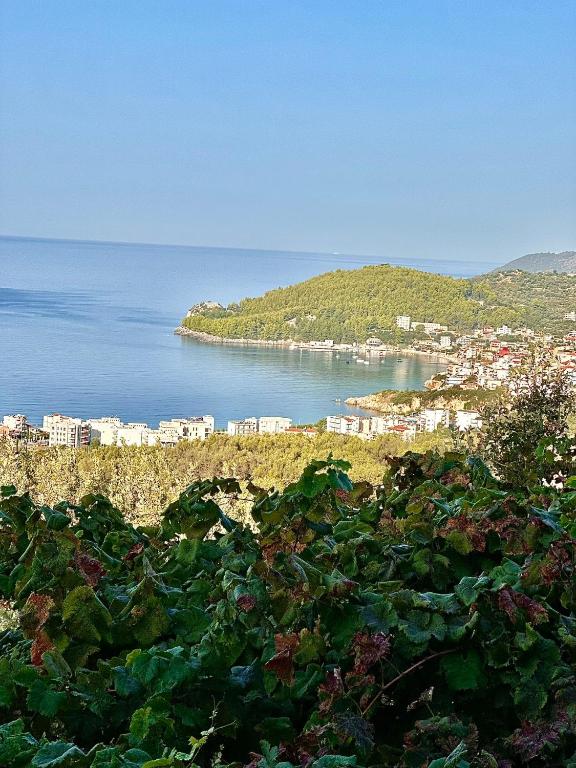 a view of a city and the ocean from a hill at ELÉA Guesthouse himare in Himare