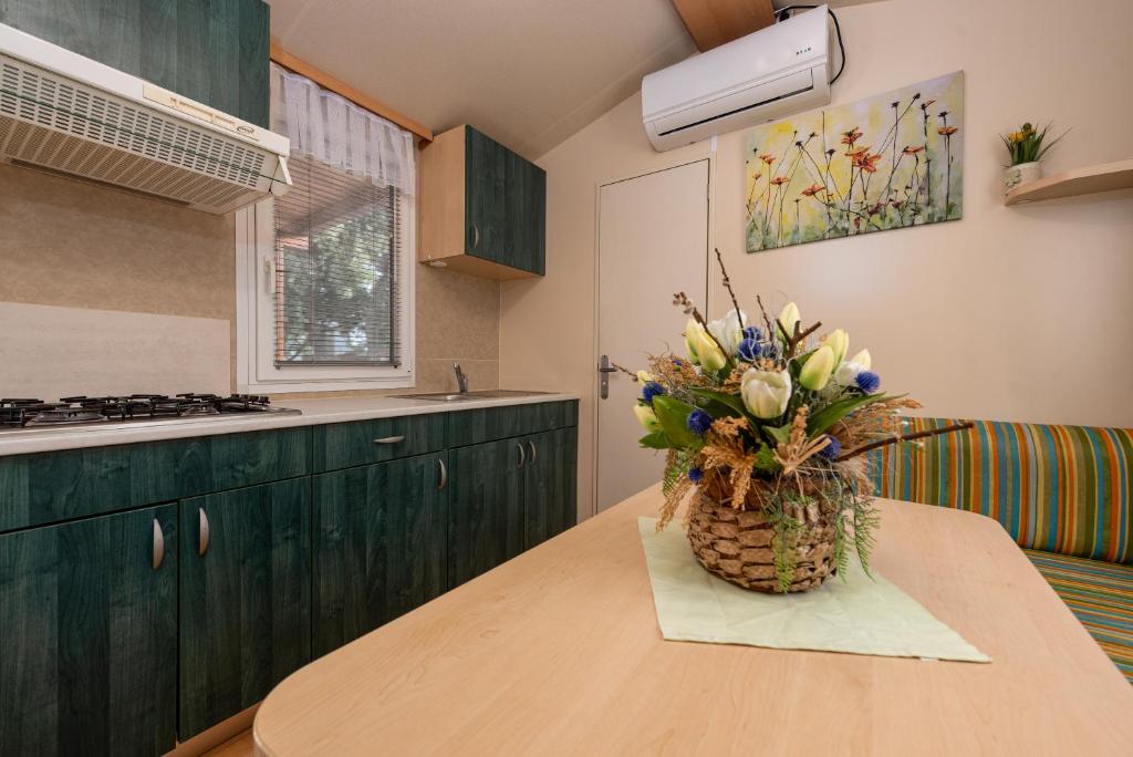 Kuchnia lub aneks kuchenny w obiekcie CAMP MRKVA MOBILE HOMES with POOL