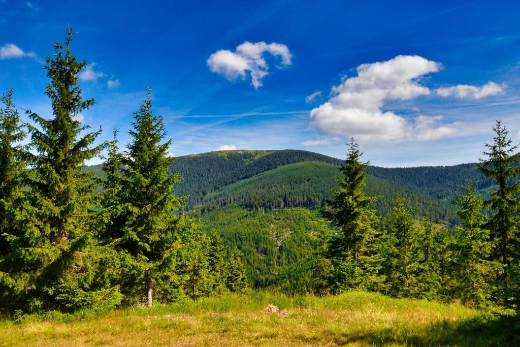 Příroda nedaleko apartmánu