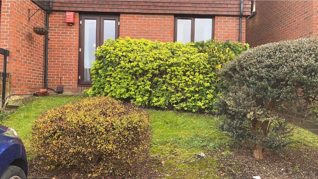 een huis met struiken voor een gebouw bij Gables in Hither Green